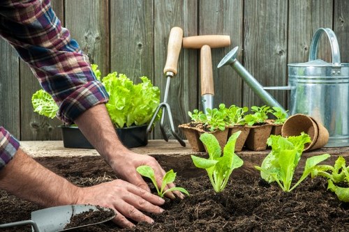Illustration of accessible gardening services in Gunnersbury
