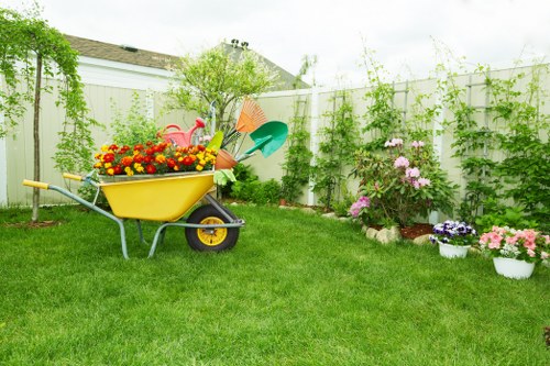 Garden quotation process for a narrow West London terrace garden