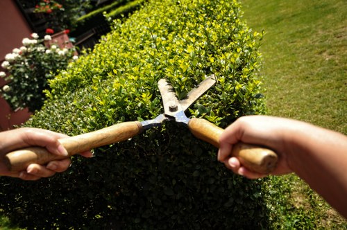 Responsible recycling and sustainability practices for local gardens