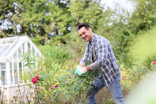 Lawn care and seasonal gardening work in a Gunnersbury garden