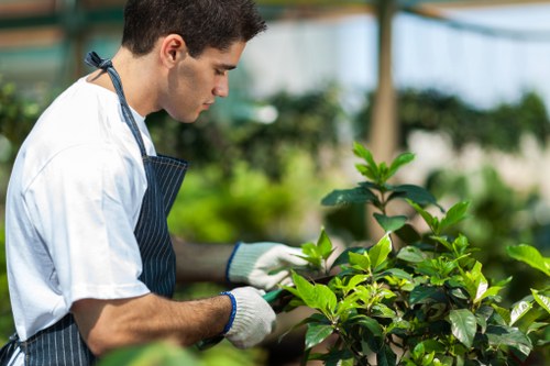 Seasonal garden care in Gunnersbury with tidy lawns and flower beds