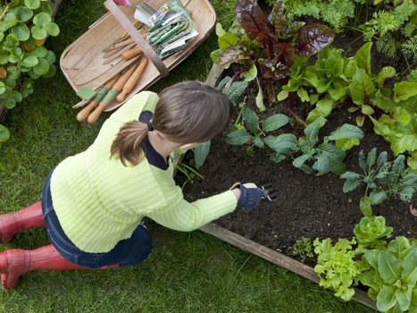 Continuous improvement in a professional gardening safety policy