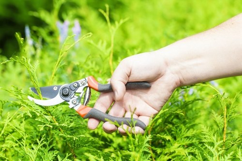 Legal terms for garden waste disposal and service use