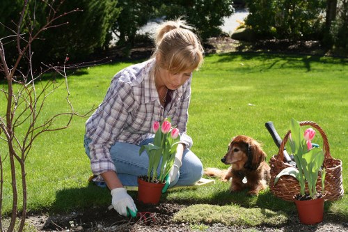 Escalation stage in a gardening complaints process