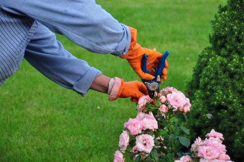 Final review of a gardener complaint outcome