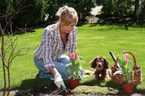 Local gardeners in Gunnersbury shaping borders and shrubs