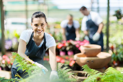 Professional lawn repair and upkeep for Gunnersbury properties
