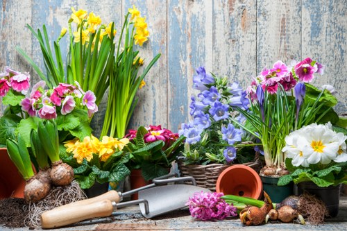 Professional grass cutting service in a local Gunnersbury garden