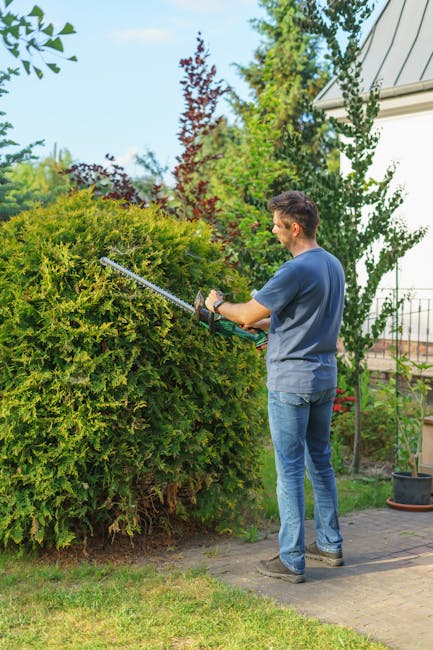 A well-maintained garden featuring a lush, green lawn with evenly trimmed grass. In the background, there are neatly shaped shrubbery and rounded bushes, some of which are being trimmed or shaped, ind