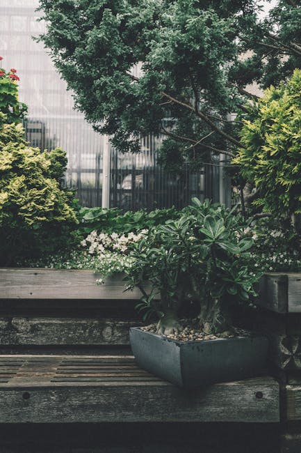 A cozy garden corner adjacent to a red brick house featuring a weathered wooden table surrounded by matching wooden and metal chairs. The table is topped with various potted plants, including succulen