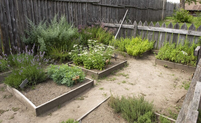 garden maintenance garden care